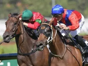 Bullish Brown helps Gem shine at Rosehill Bullish Brown helps Gem shine at Rosehill