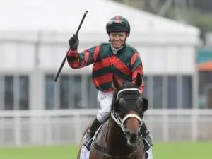 The Autumn Sun to shine in another Guineas The Autumn Sun to shine in another Guineas
