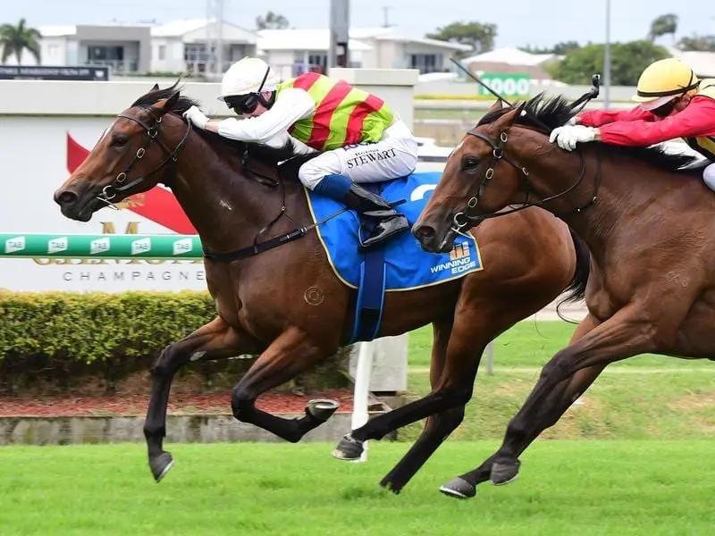 Brisbane filly Niedorp.