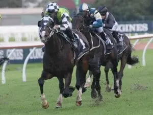 James McDonald enjoys day out at Rosehill James McDonald enjoys day out at Rosehill