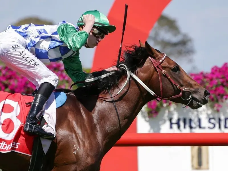 Emerging galloper Fifty Stars will be out to confirm Doncaster Mile plans in the Ajax Stakes. Fifty Stars.