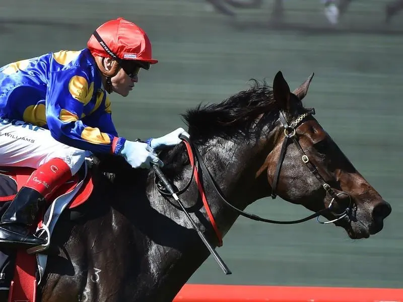 Trainer Doug Harrison and his nephew Craig Williams combined for a winning double at Sandown. Judge O'Reilly at Sandown.
