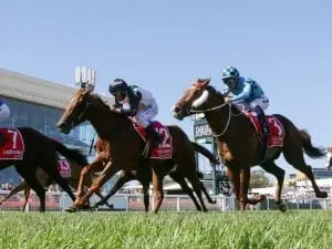 Bieg believes draw ideal for Free Of Debt Bieg believes draw ideal for Free Of Debt
