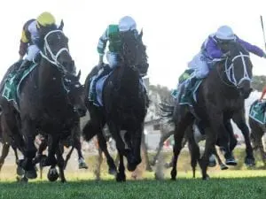 Waller pair need to improve in Tancred Waller pair need to improve in Tancred