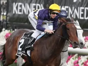 Aristia to appreciate trip in Vinery Stud Aristia to appreciate trip in Vinery Stud