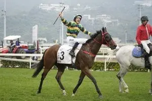 Furore Furore catches the eye as FWD QEII Cup entrants trial at Sha Tin