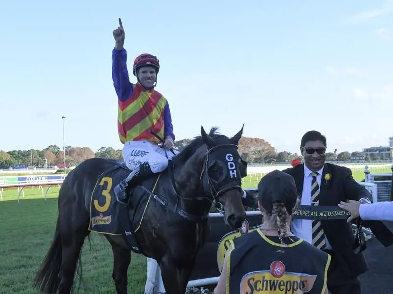Jockey Tommy Berry says Pierata felt like the winner from a long way out in the All Aged Stakes. Jockey Tommy Berry returns to scale after riding Pierata to victory