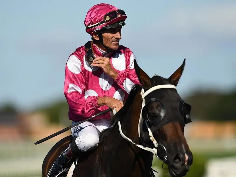 Australian Oaks bolter Rocknavar is a better chance than her odds suggest, according to her stable. Rocknavar.