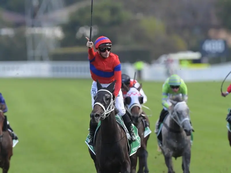 Verry Elleegant proved to be a superior staying filly in sweeping to an ATC Australian Oaks victory. Verry Elleegant.