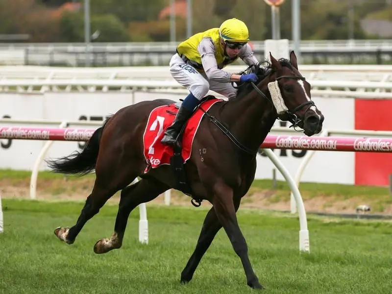 Michael Dee has navigated an inside passage to win the inaugural Showdown on Prince Of Sussex. Prince Of Sussex.