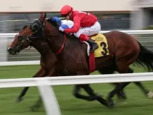 Iconoclasm earns Stradbroke Hcp campaign Iconoclasm earns Stradbroke Hcp campaign