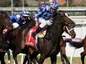 Princess Jenni Australasian Oaks bound Princess Jenni Australasian Oaks bound