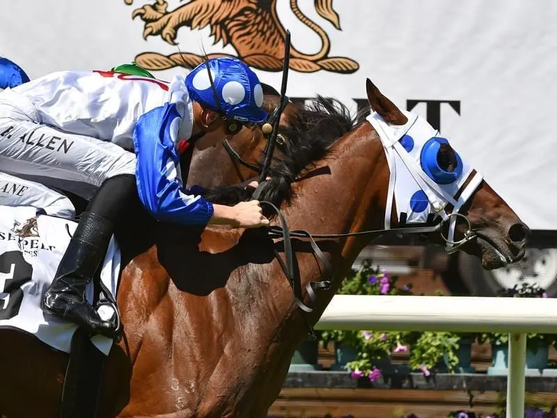 Promising stayer Mr Quickie rounds off his South Australian Derby campaign against older horses. Mr Quickie.