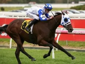 Mr Quickie spot on for G1 SA Derby assault Mr Quickie spot on for G1 SA Derby assault
