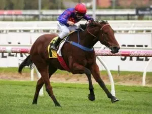 Twitchy Frank lands big prize at Caulfield Twitchy Frank lands big prize at Caulfield