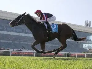 Waging War chasing another VOBIS Gold Mile Waging War chasing another VOBIS Gold Mile