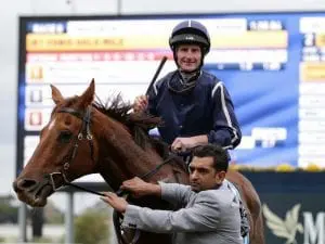 Widgee Turf too strong in VOBIS Gold Mile Widgee Turf too strong in VOBIS Gold Mile