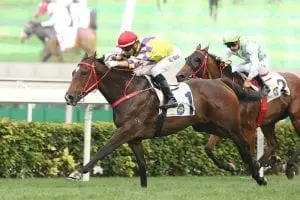Champion's Way Moreira bags three as Champion’s Way makes it four in a row