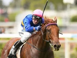 Gem of Scotland shines bright at Doomben Gem of Scotland shines bright at Doomben
