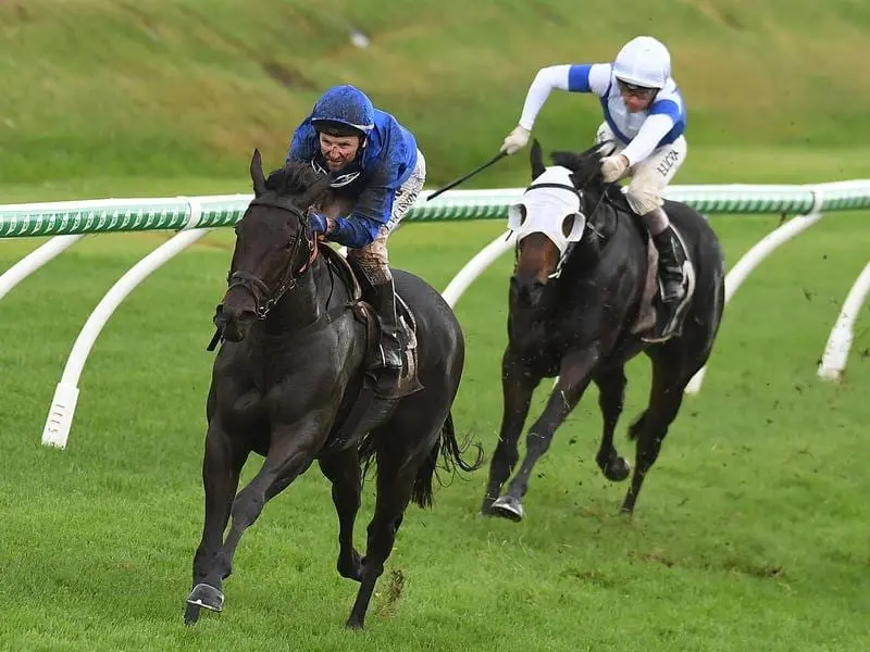 Larry Cassidy rides Plague Stone to victory