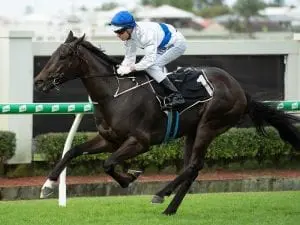 Key Doomben barrier trials abandoned Key Doomben barrier trials abandoned