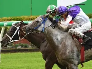 Last two races at Doomben washed out Last two races at Doomben washed out