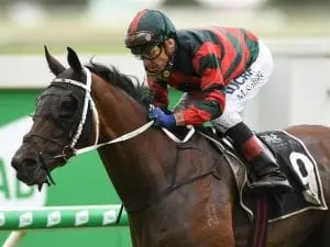 Cahill continues good run at Doomben Cahill continues good run at Doomben