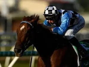 I Am Excited conquers Redzel in G2 sprint I Am Excited conquers Redzel in G2 sprint