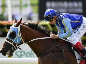 Sir Barnabus earns Gold Coast Cup start Sir Barnabus earns Gold Coast Cup start