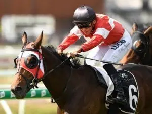 Famous racing colours salute at Eagle Farm Famous racing colours salute at Eagle Farm
