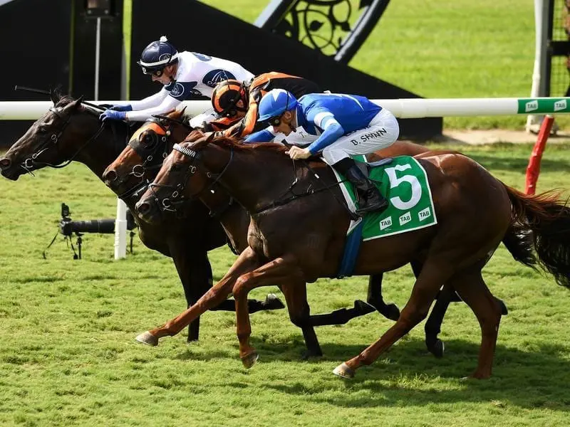 Jagged Edge (inside) continued a top season for new sire Better Than Ready in winning at Eagle Farm. Dalrello Stakes.