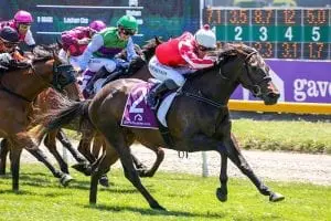 Pitmans hold strong hand at Riccarton