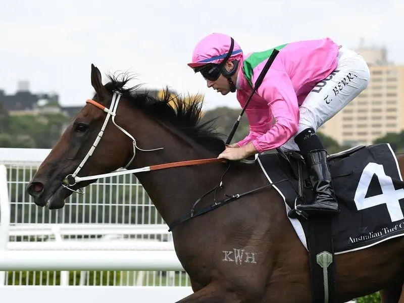 The Hawkes Racing-trained Amangiri is the favourite for the Australasian Oaks in Adelaide. Amangiri