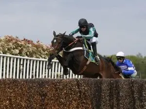 Jumper Altior stars again at Sandown Jumper Altior stars again at Sandown
