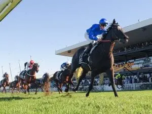 Winx clash ruled out for in-form Avilius Winx clash ruled out for in-form Avilius