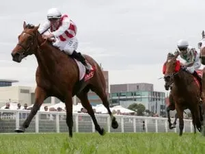 Super Seth set for Anzac Day Stakes Super Seth set for Anzac Day Stakes