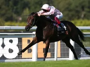Too Darn Hot to miss 2000 Guineas Too Darn Hot to miss 2000 Guineas