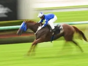 Misters to clash in Qld winter sprints Misters to clash in Qld winter sprints