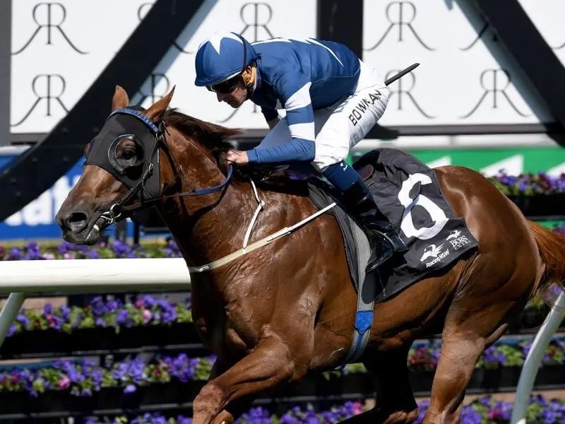 Super Ex will be one of two runners at Randwick for trainer Mark Newnham, the other being Splintex. super ex