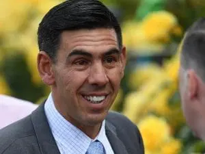 NZ stayer Rock On to race in Victoria NZ stayer Rock On to race in Victoria