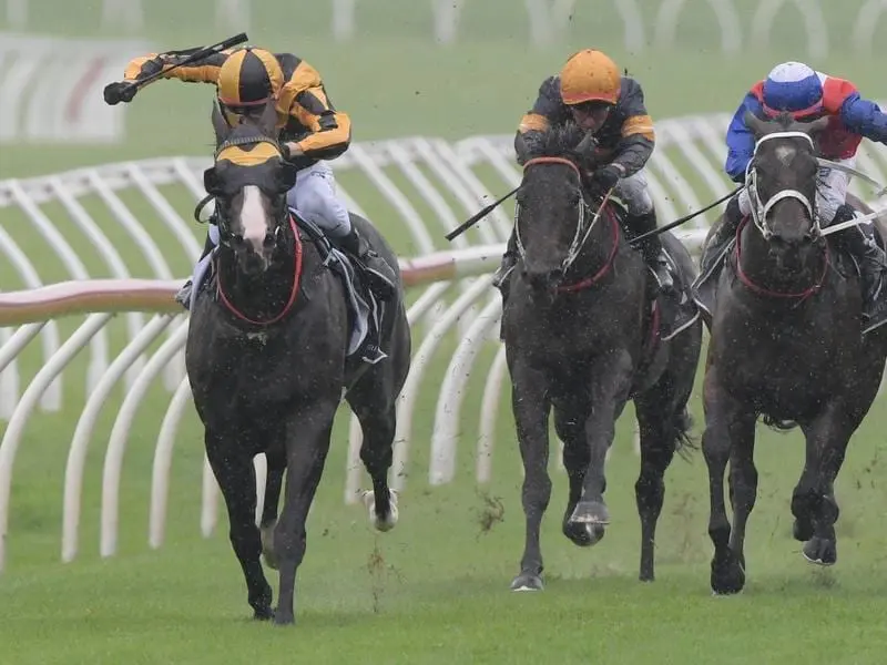 Trapeze Artist (l) is primed for his TJ Smith Stakes defence at Randwick after a barrier trial win. trapeze artist