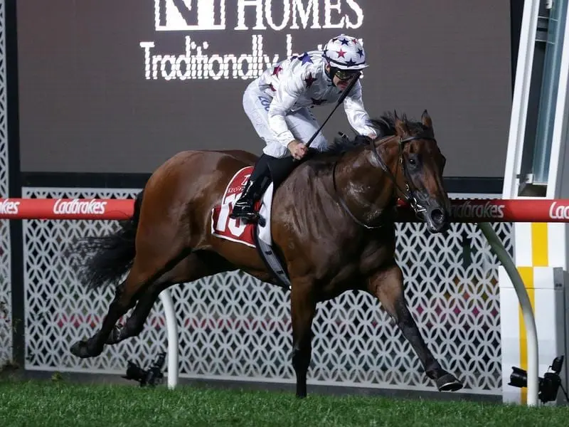 Sunlight will get another G1 chance in the TAB Classic in Adelaide after her TJ Smith third. sunlight
