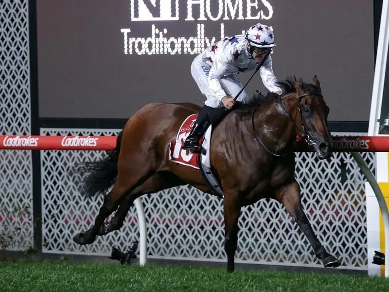 Sunlight has pleased trainer Tony McEvoy in a work-out ahead of a possible bid for a 4th G1 win. sunlight