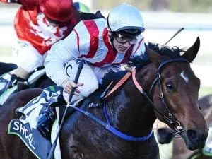 Shoals sibling scores a maiden Bendigo win Shoals sibling scores a maiden Bendigo win