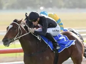 Pecans to defend Crown at Hawkesbury Pecans to defend Crown at Hawkesbury