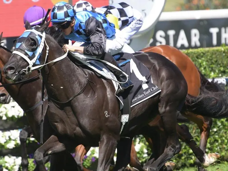 Ringerdingding missed a start in the Doncaster Mile but has taken out the Carbine Club Stakes. Ringerdingding.