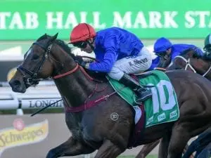 Trekking wins Group Three Hall Mark Stakes Trekking wins Group Three Hall Mark Stakes
