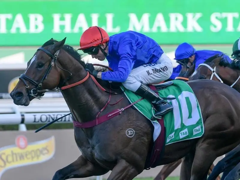 Jockey Kerrin McEvoy rides Trekking to victory
