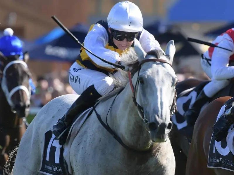 Jockey Kathy O'Hara rides Grey Lion to victory