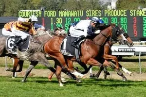 Yourdeel Spring features in-mind for talented two-year-olds